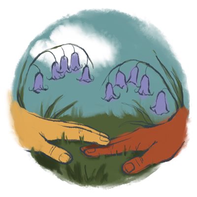 Bluebells