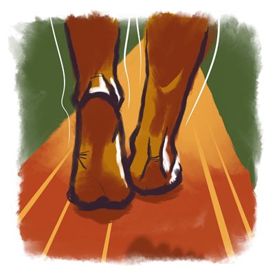 Walk
